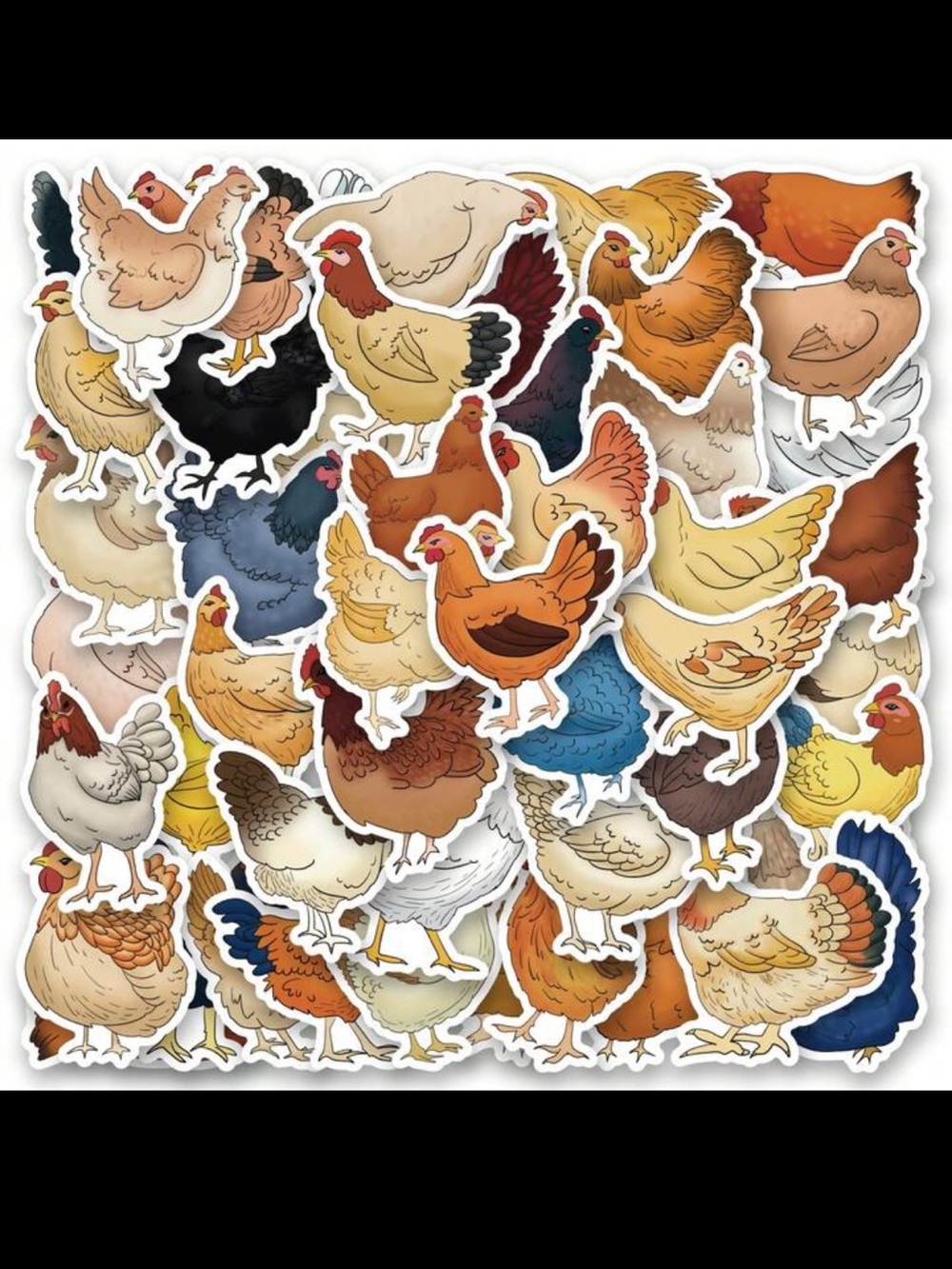New! Large Chicken Sticker Pack of 25 Individual Stickers Multi-Color Assortment - Picture 8 of 11